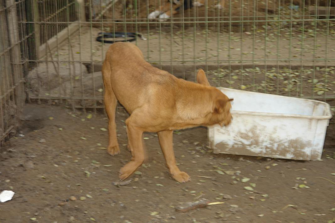 dsc09477.jpg