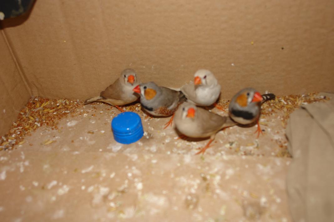 dsc09786.jpg