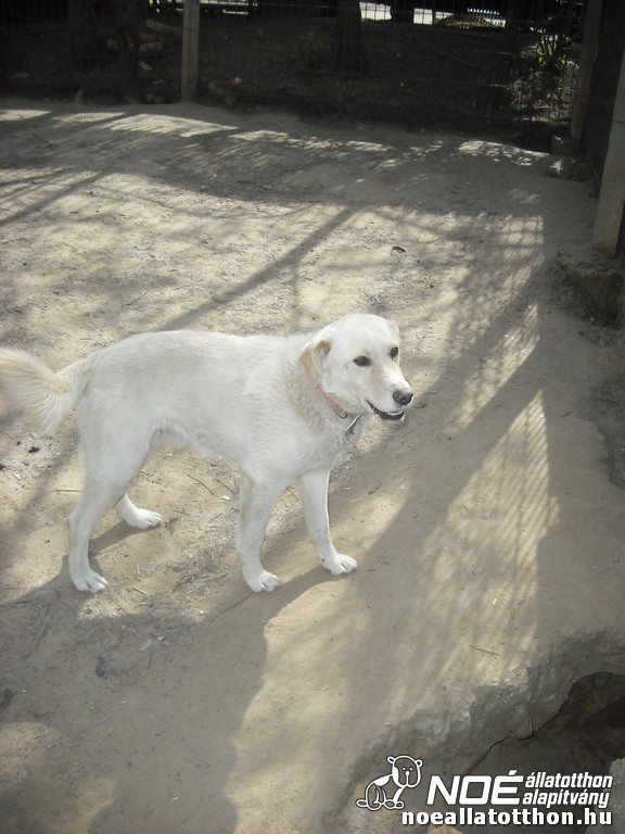 dscf0198.jpg