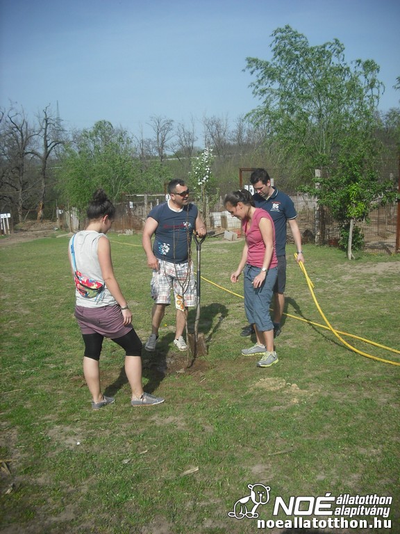 dscf0290.jpg