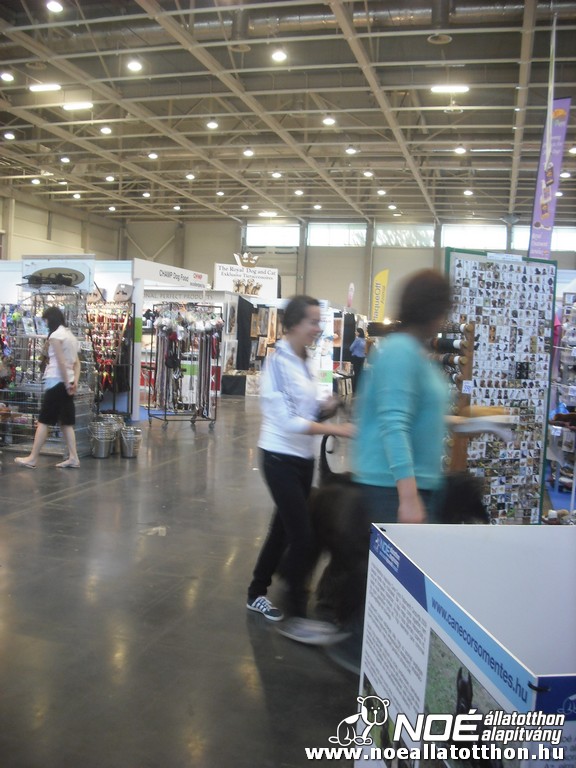 dscf0879.jpg