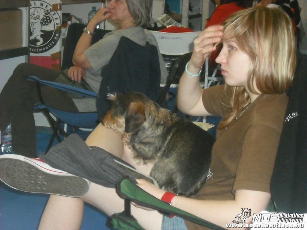 dscf0886.jpg