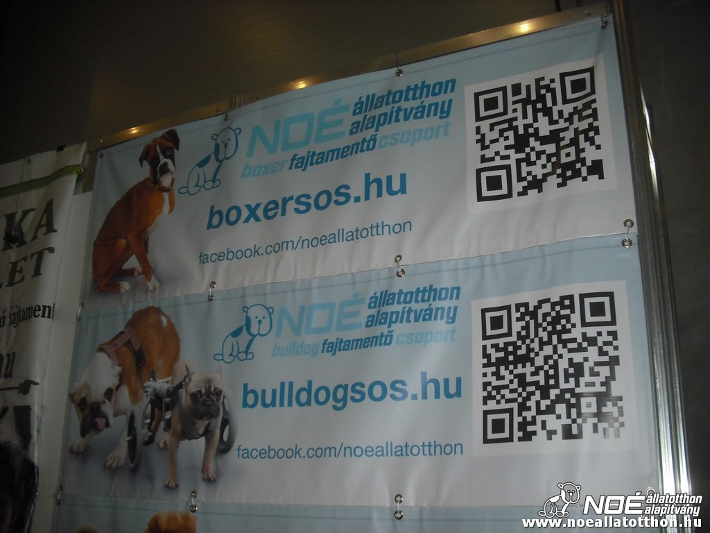 dscf0912.jpg