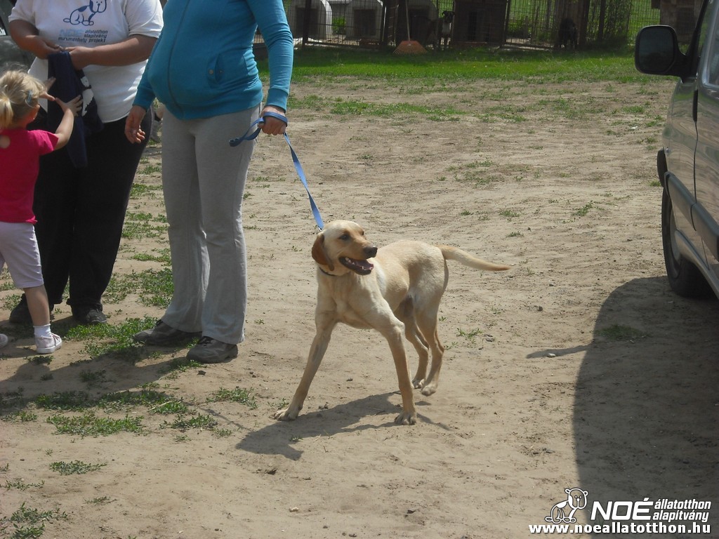 dscf1418.jpg