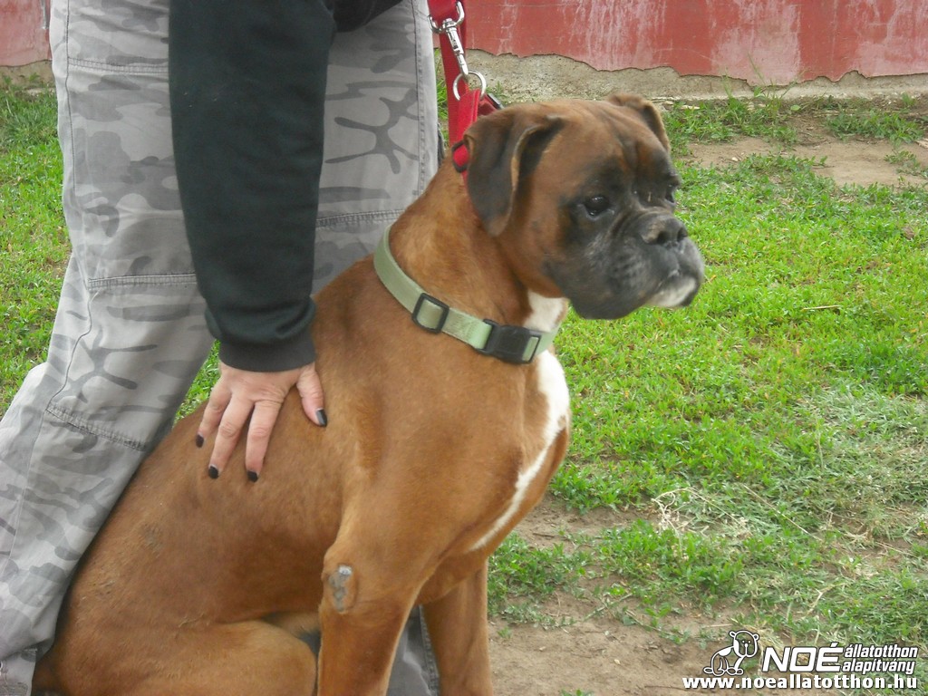 dscf1578.jpg