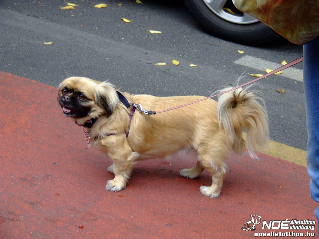 dscf2789.jpg
