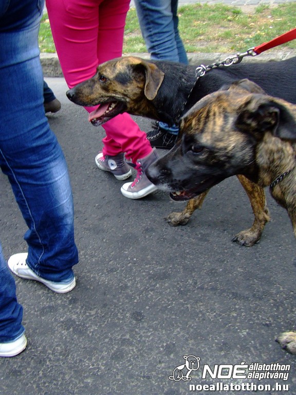 dscf2797.jpg