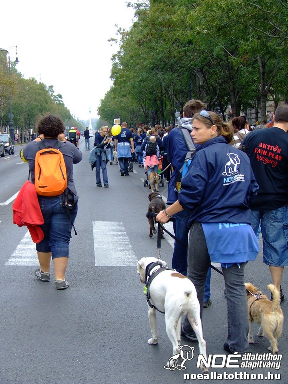 dscf2805.jpg