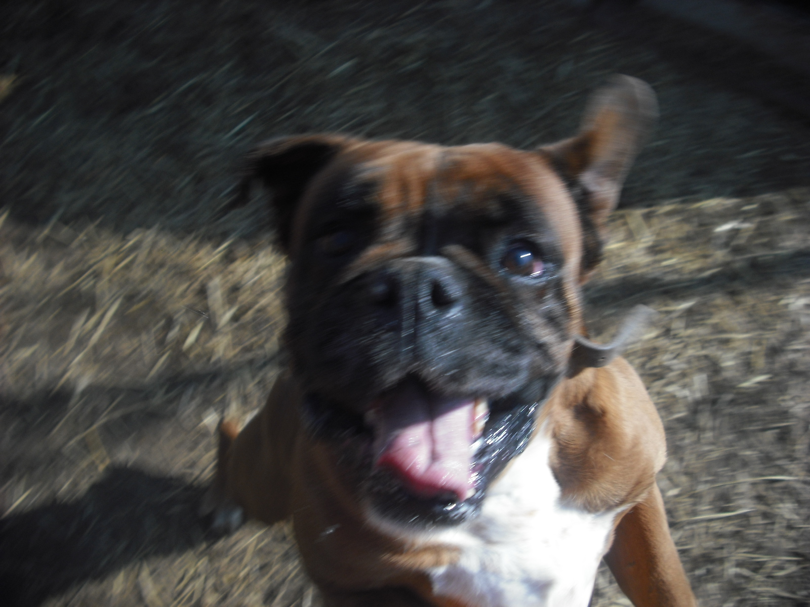 dscf4936.jpg