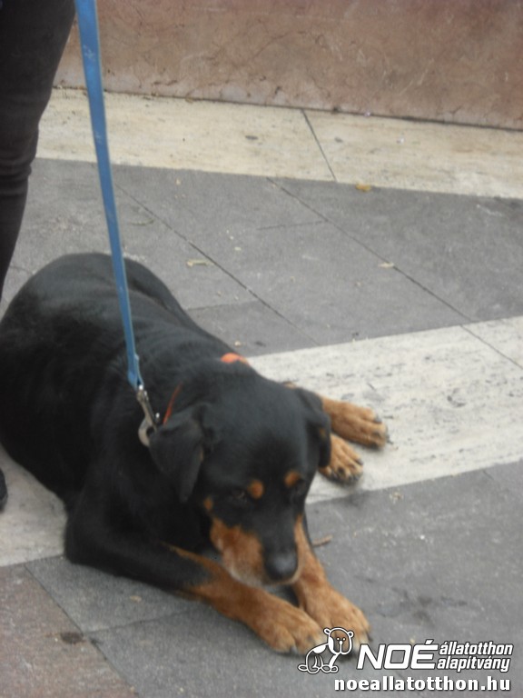 dscf5129.jpg