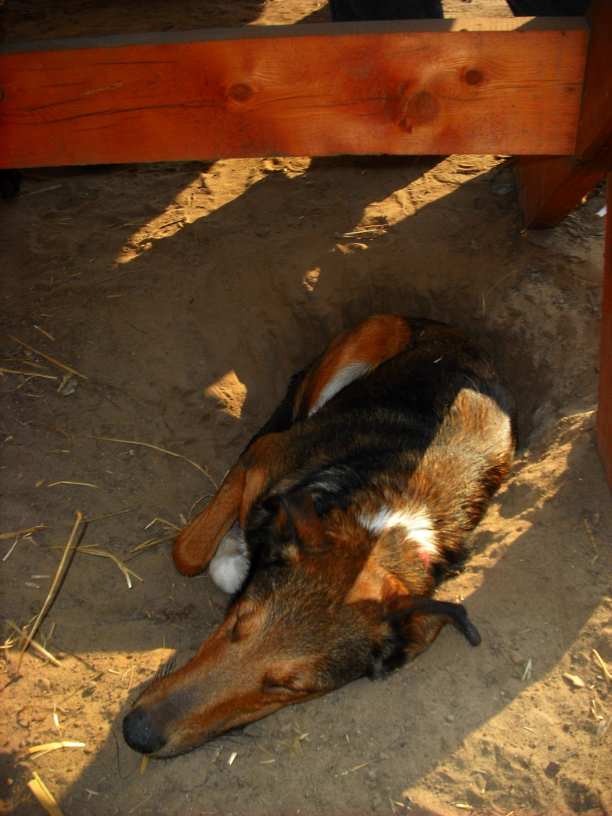 dscf5610.jpg