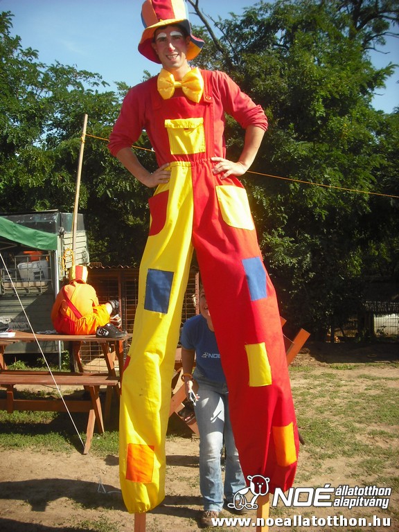 dscf6911.jpg