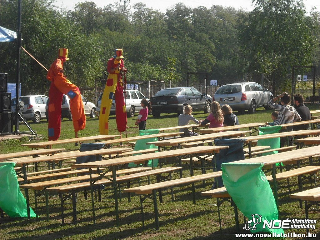dscf6913.jpg