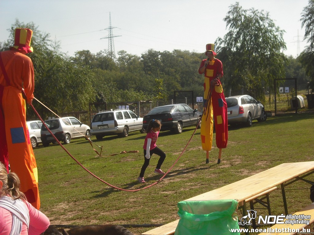 dscf6914.jpg