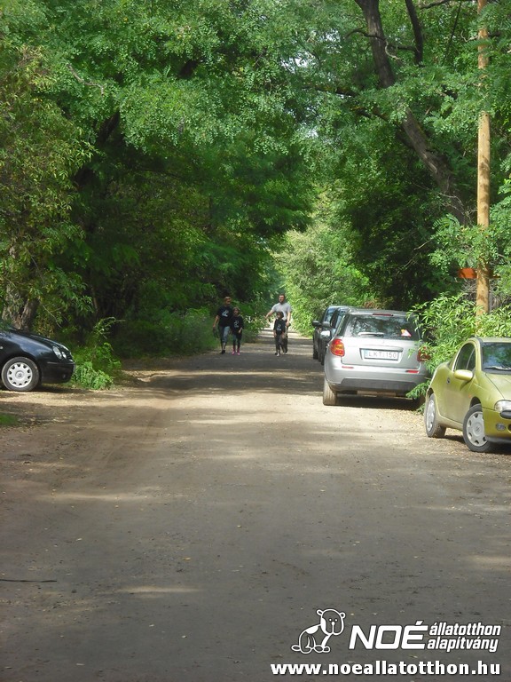 dscf6970.jpg