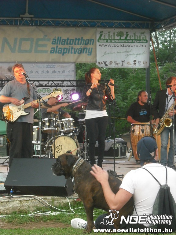 dscf7032.jpg