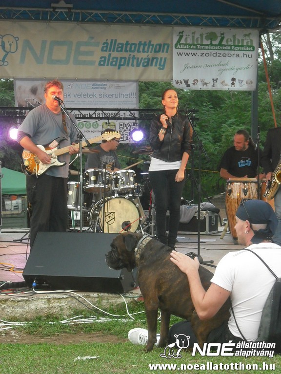 dscf7033_3.jpg