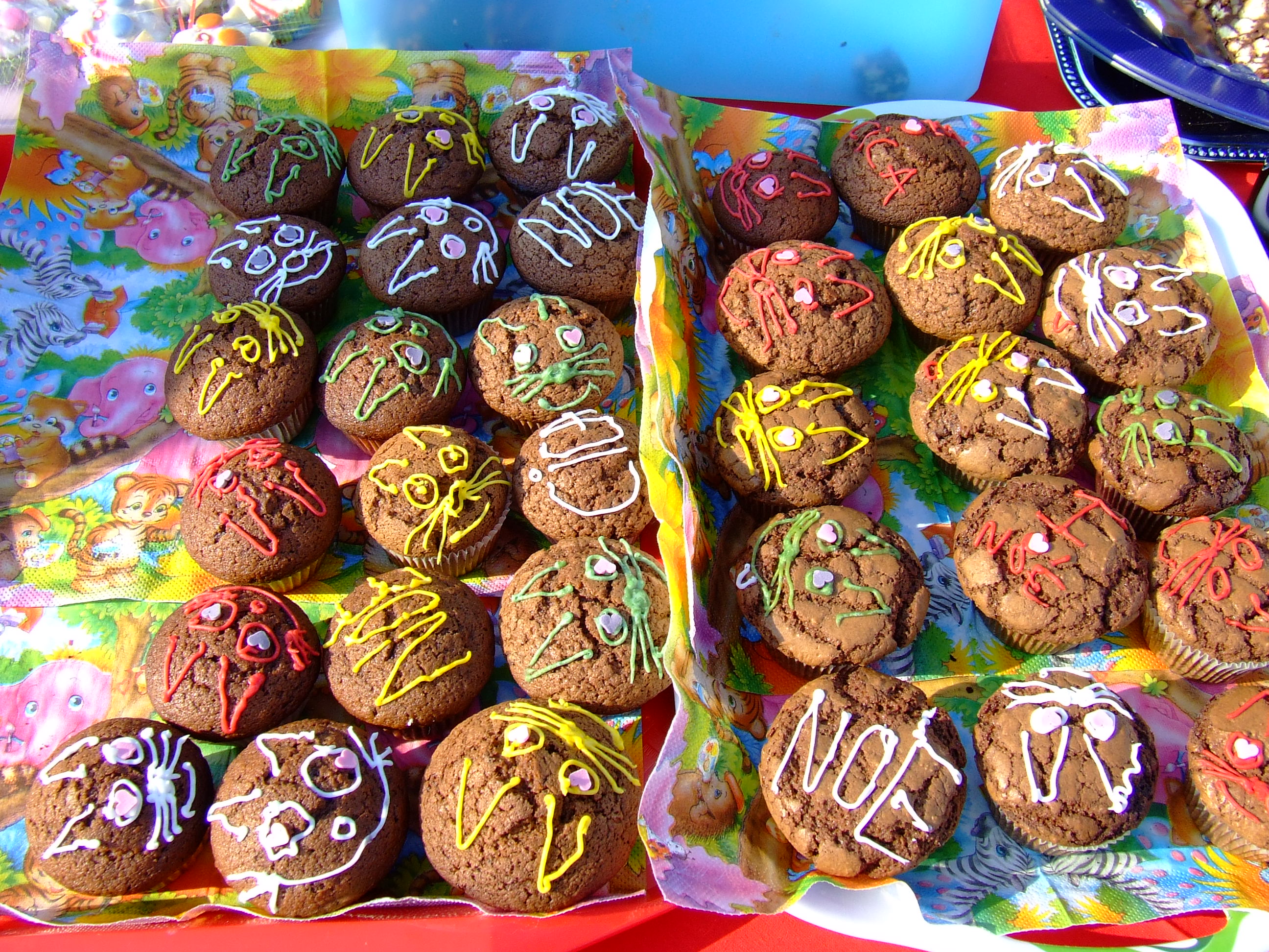 dscf8805.jpg