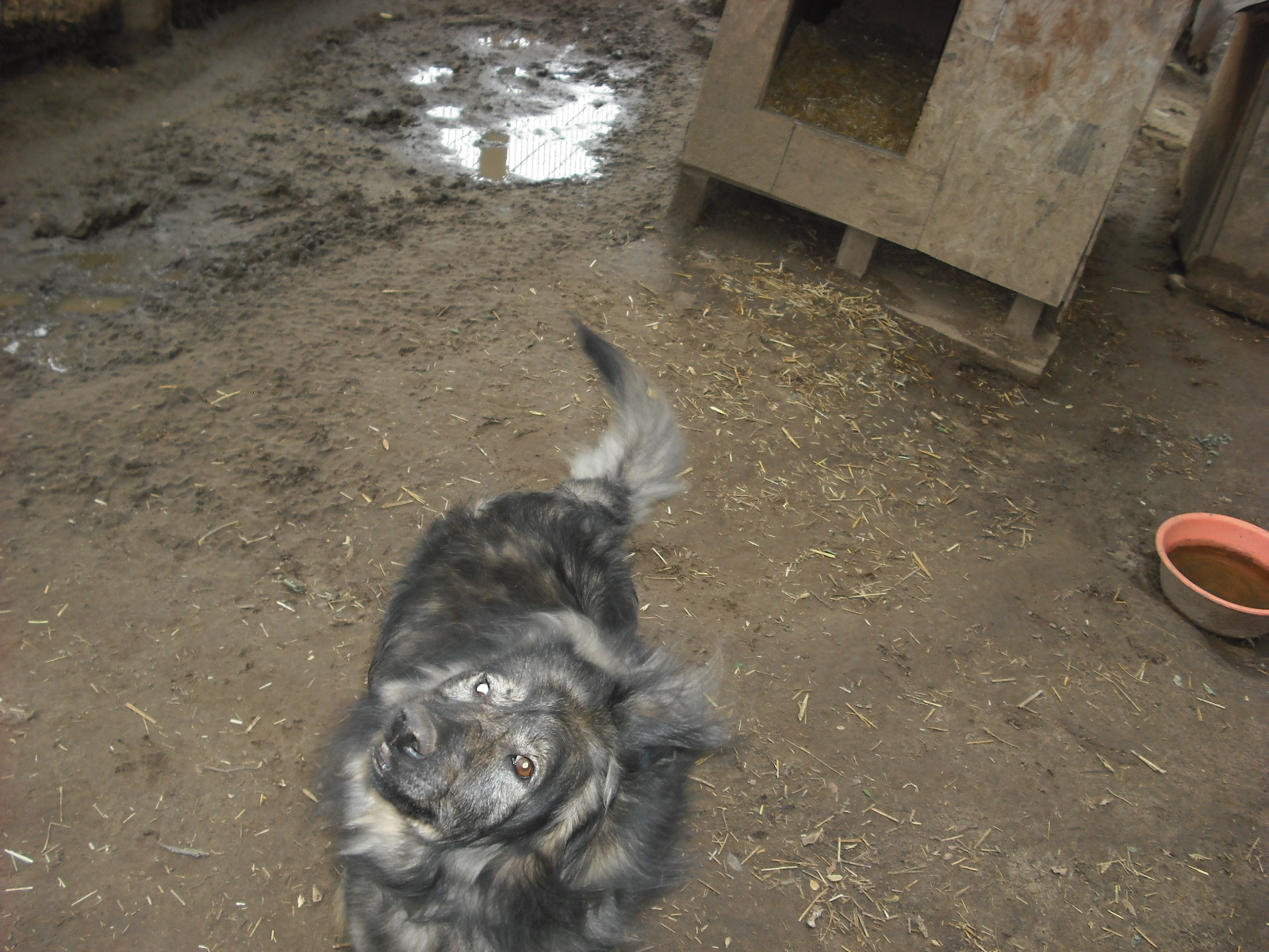 dscf8876.jpg