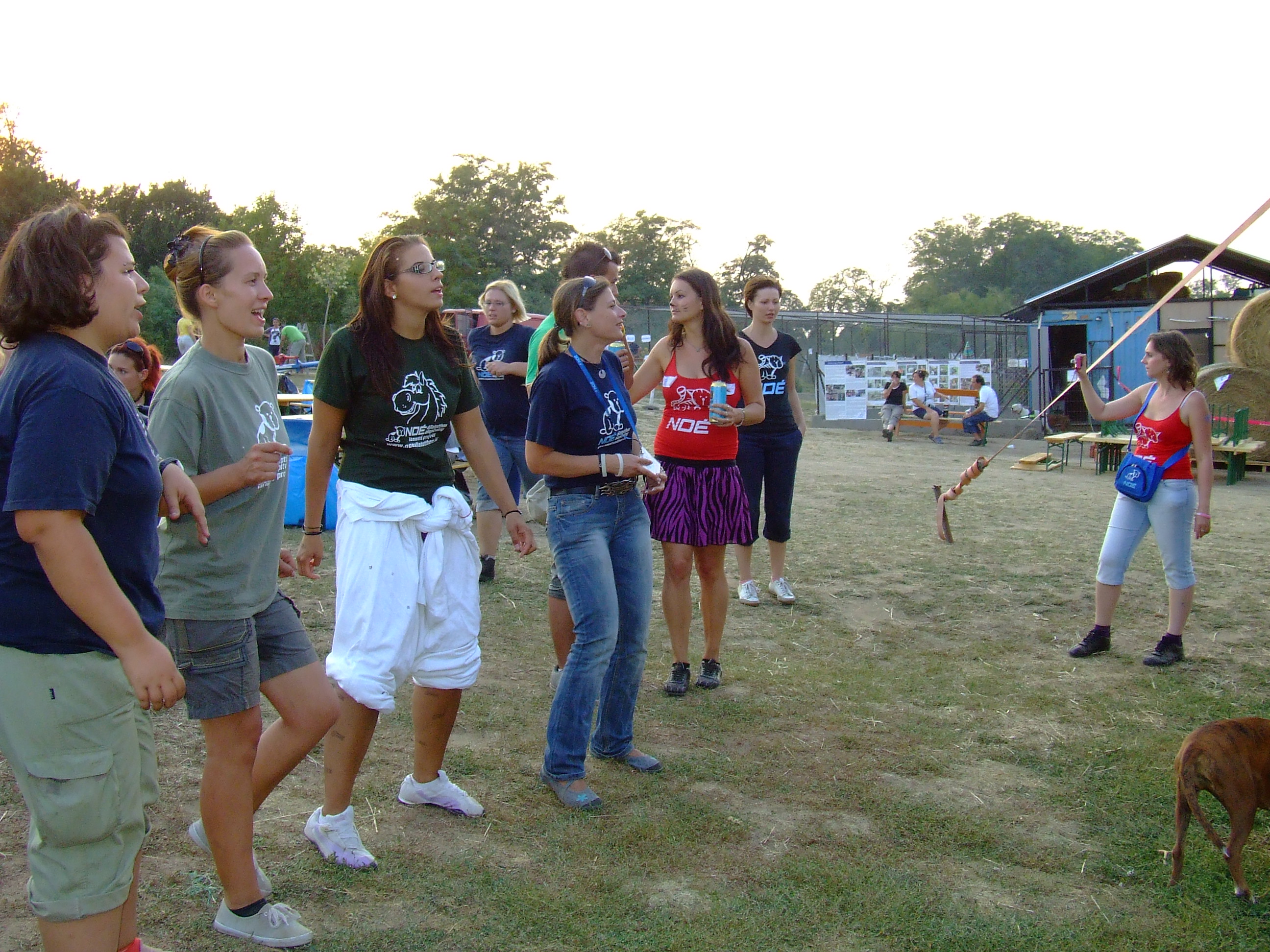dscf8920.jpg