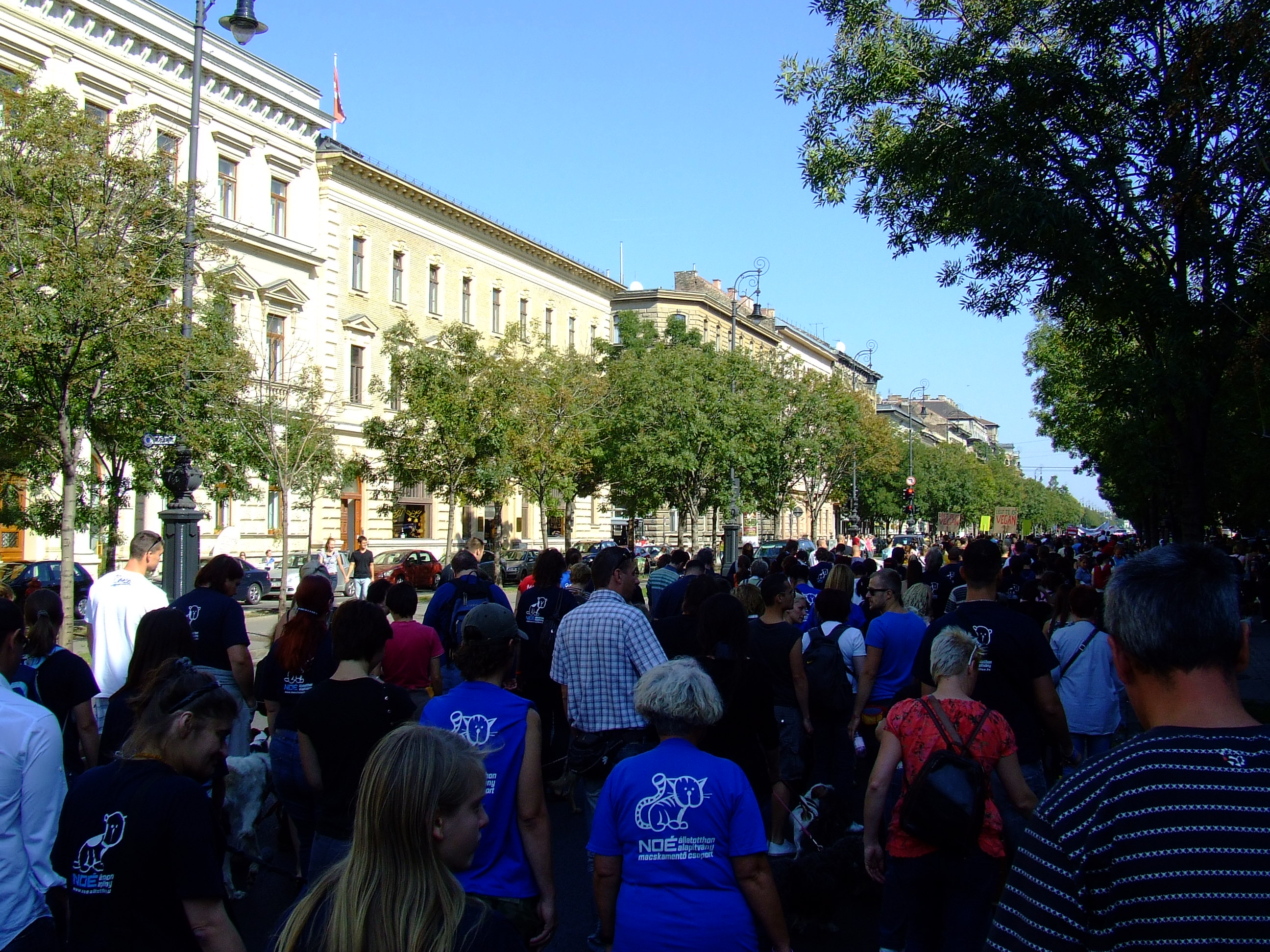 dscf8981.jpg