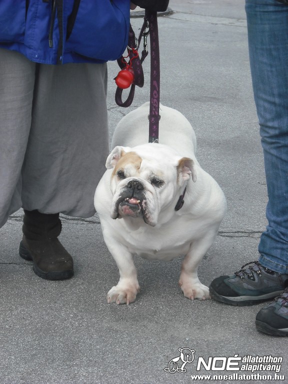 dscf9289.jpg