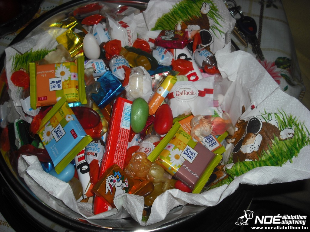 dscf9291.jpg