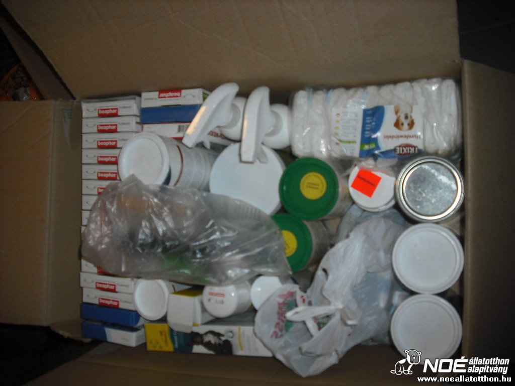 dscf9331_2.jpg