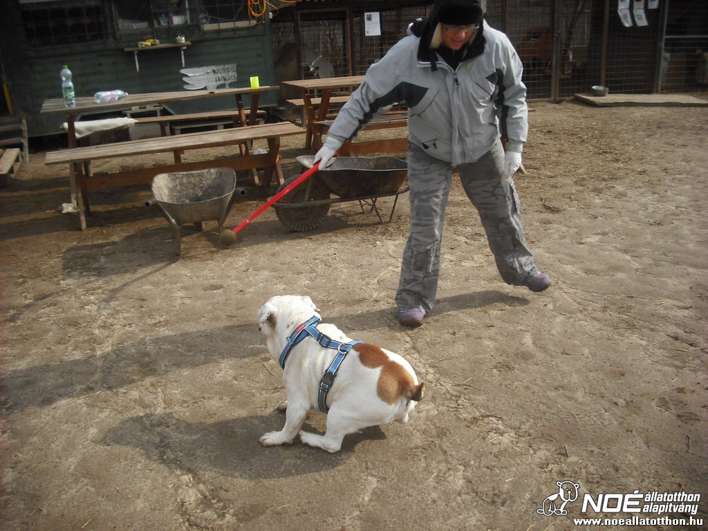 dscf9339_2.jpg