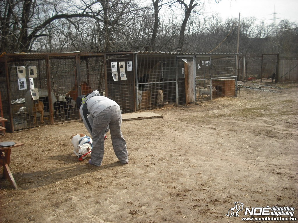 dscf9350_2.jpg