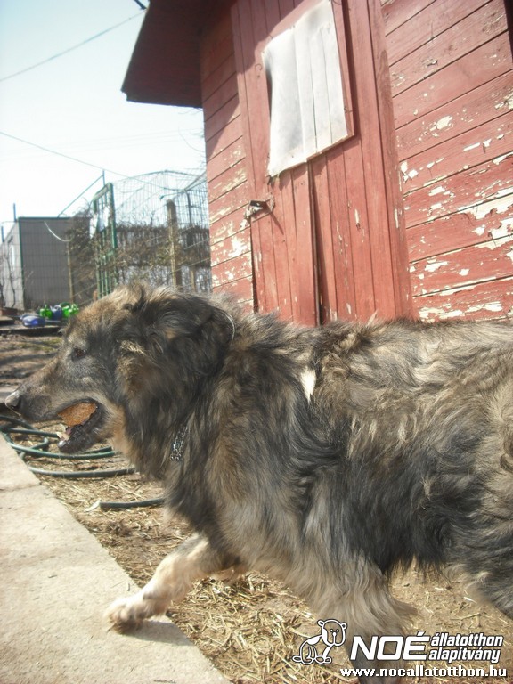 dscf9368_2.jpg