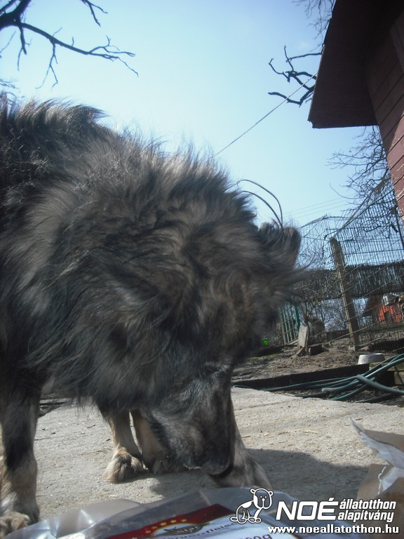 dscf9369_3.jpg