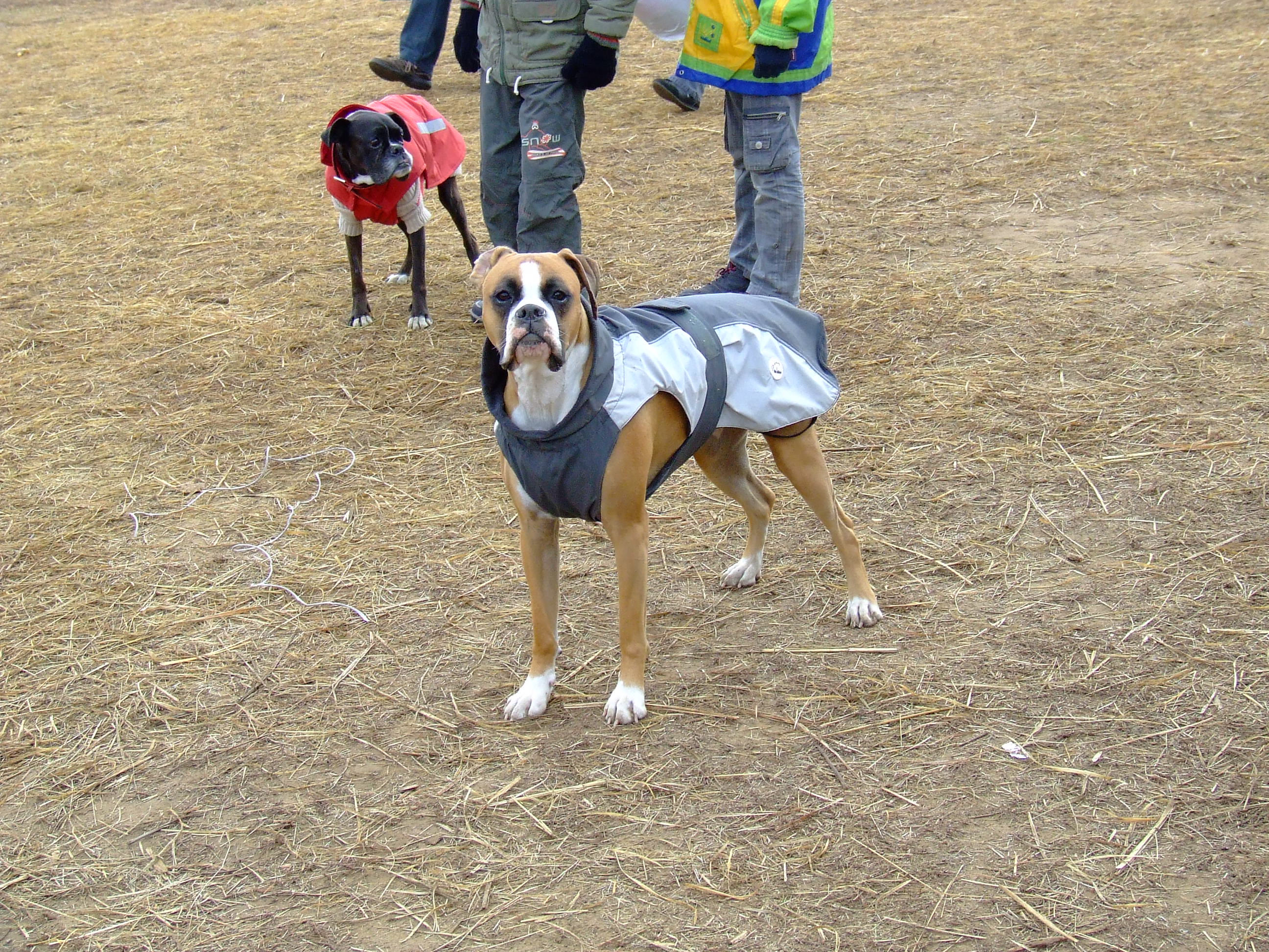 dscf9467.jpg
