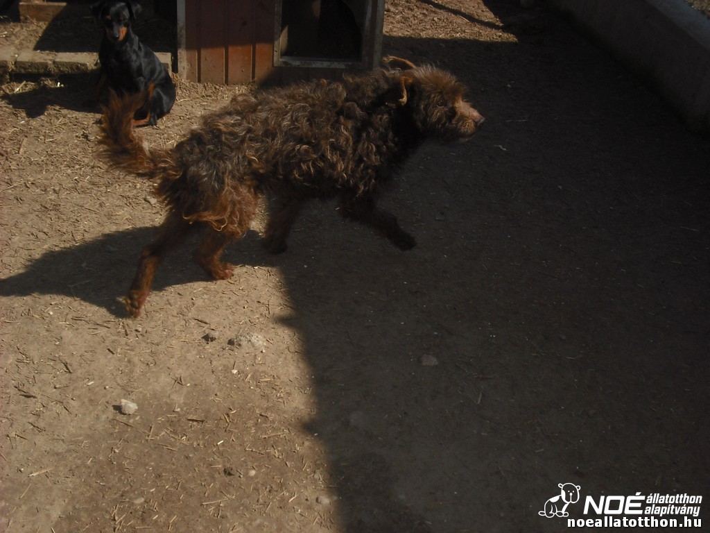 dscf9561.jpg