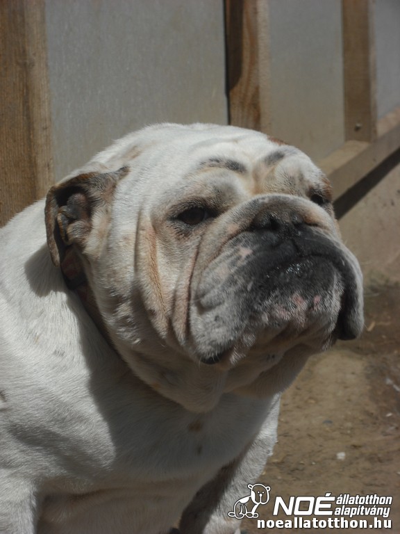 dscf9578.jpg