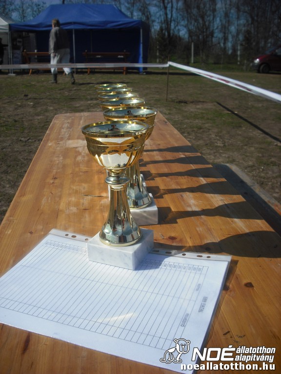 dscf9836.jpg