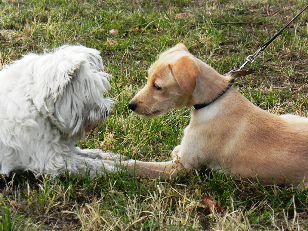 dscn4890.jpg