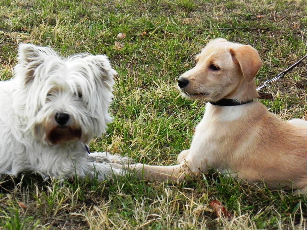 dscn4891.jpg