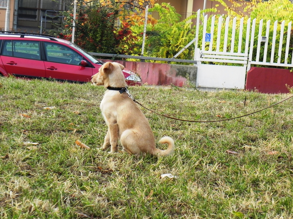 dscn4895.jpg