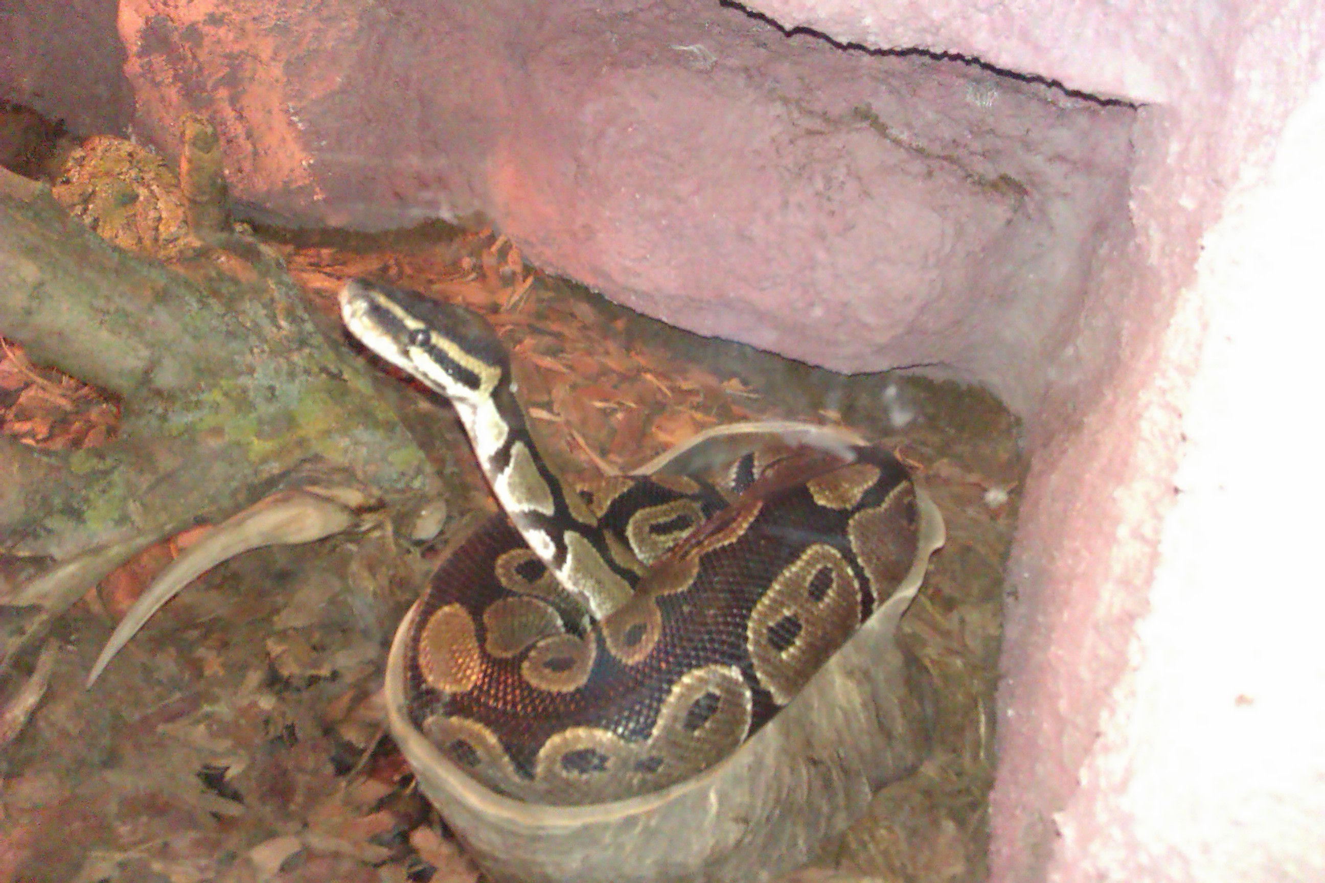 imag0136.jpg