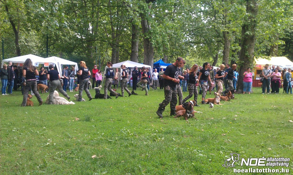 imag0452.jpg