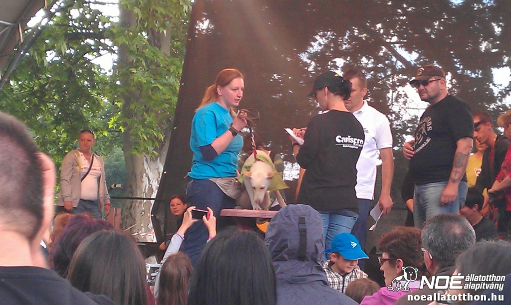 imag0553.jpg