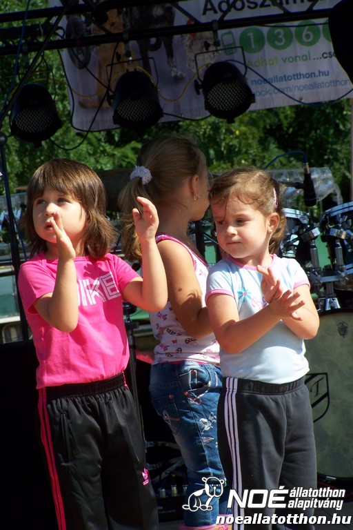 100_3938.jpg