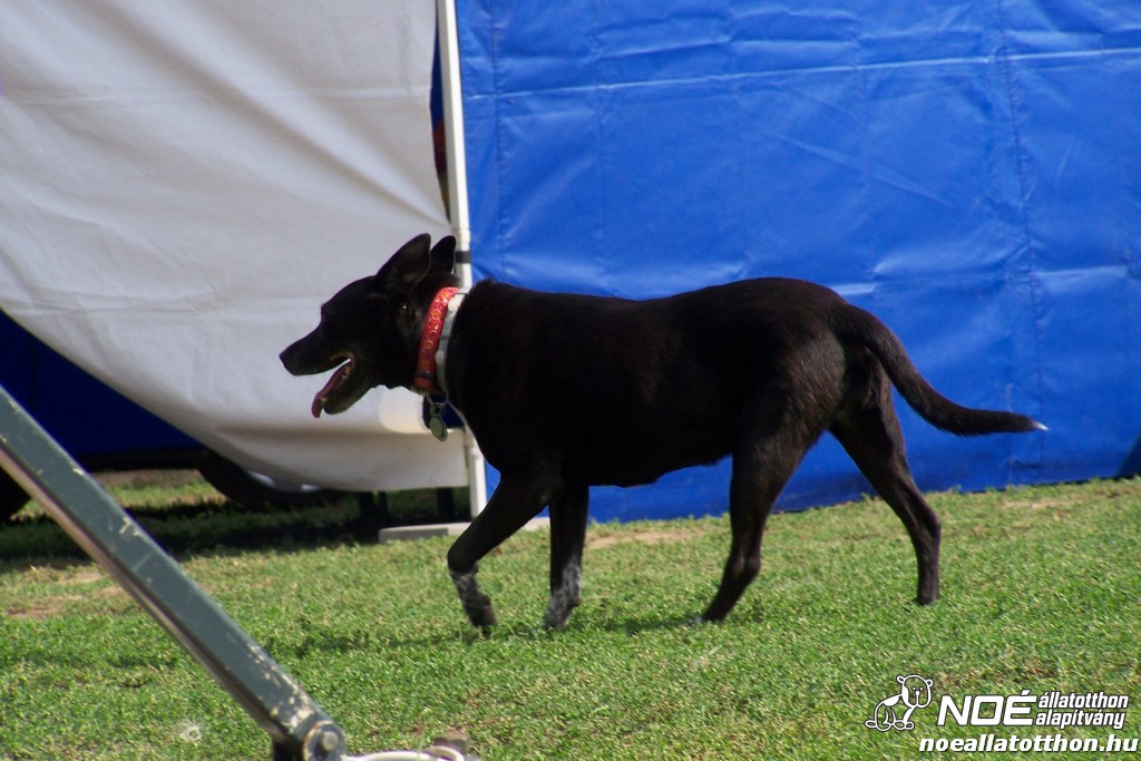 100_4055.jpg