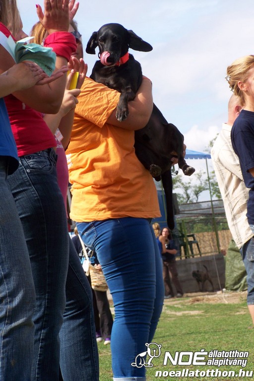100_4077.jpg