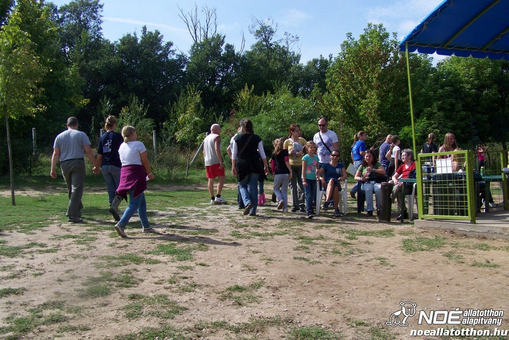 100_4137.jpg