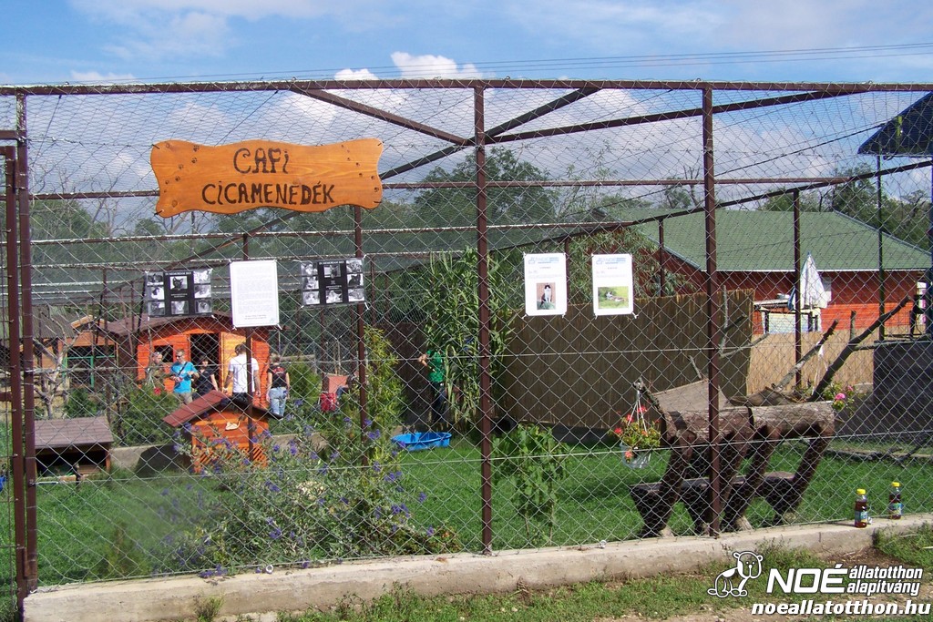 100_4144.jpg