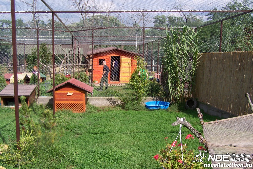 100_4148.jpg