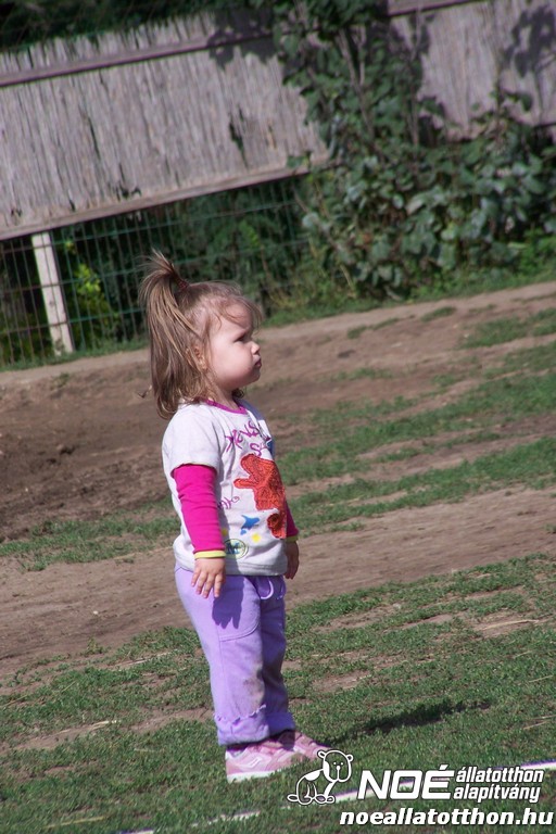 100_4163.jpg