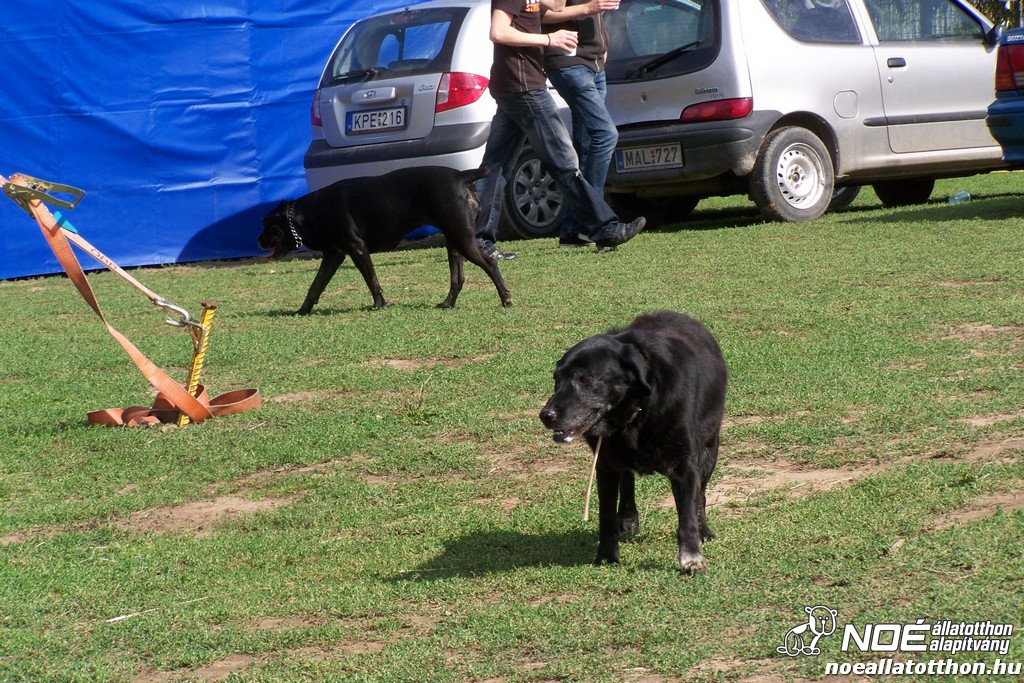 100_4179.jpg